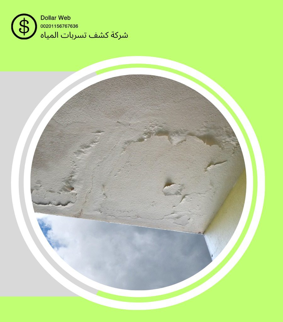 شركه كشف خريره طيبة