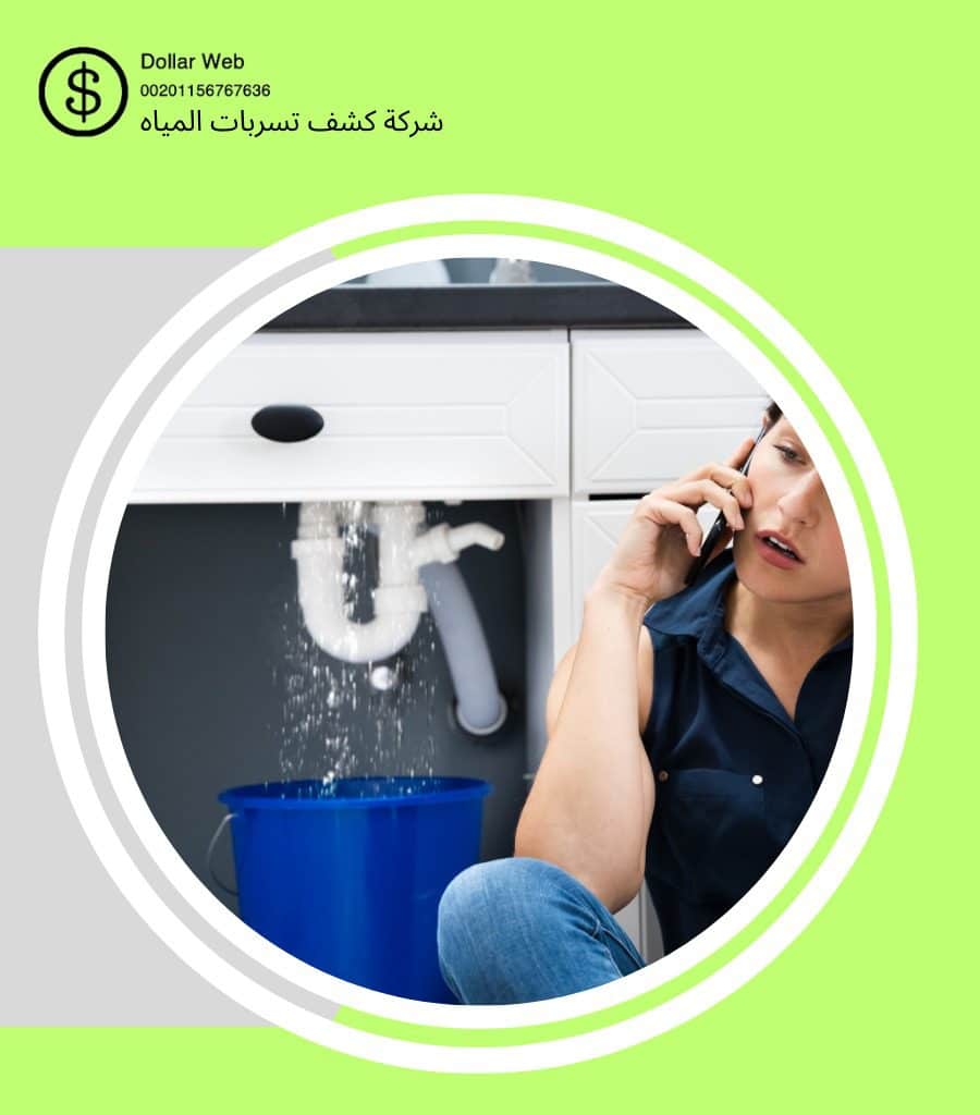 افضل شركات كشف تسريبات