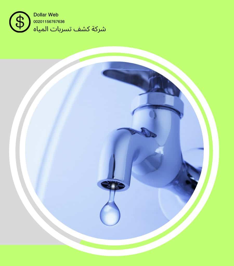 كشف خريره مياه الزهور