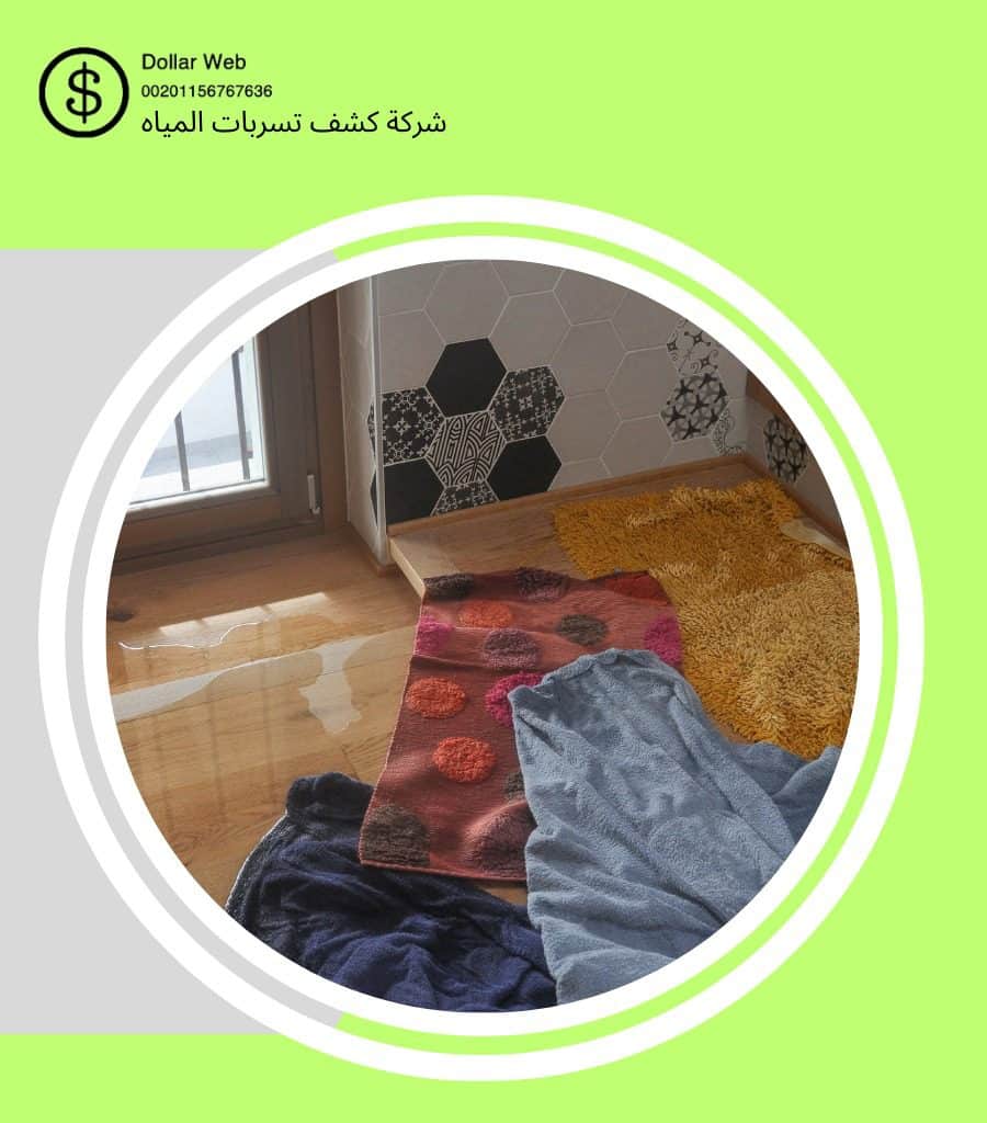 شركة كشف تسربات بالريان