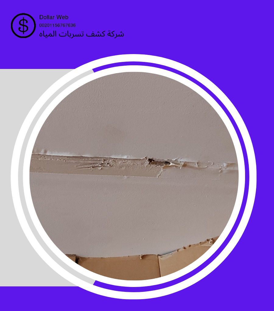 كشف تسربات حي الضباب