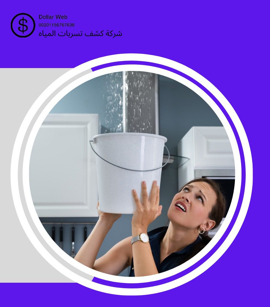 كشف تسربات حي الصناعية