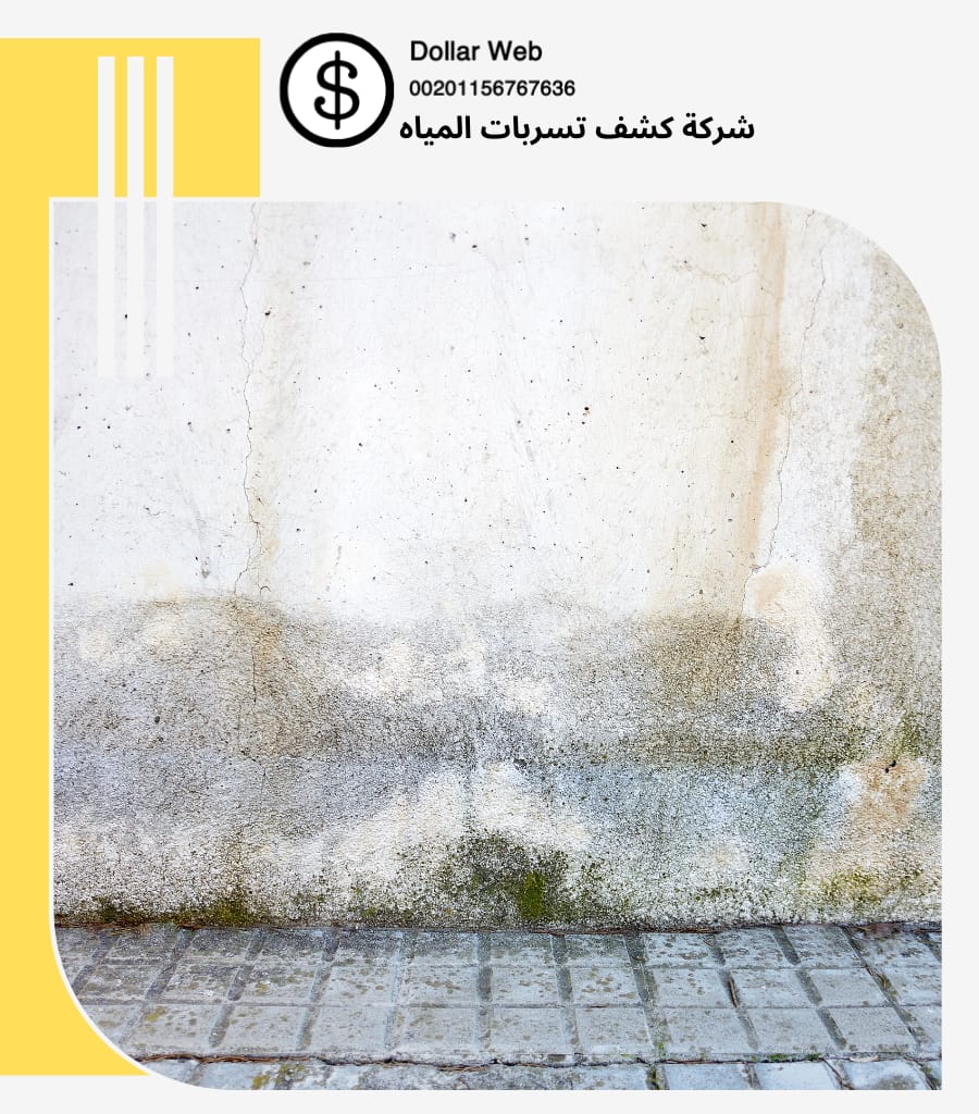 اسعار كشف تسربات المياه