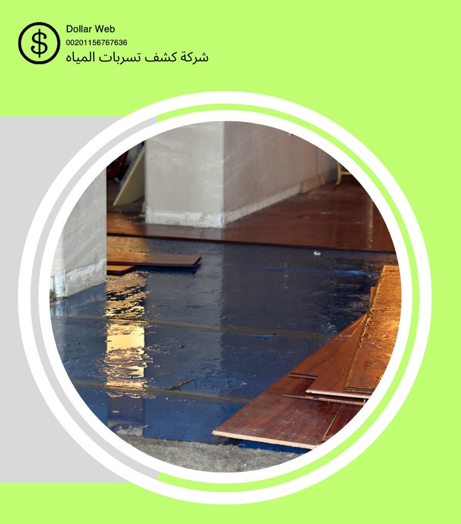 شركة كشف خرير المياه