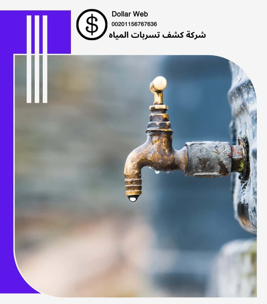 كشف تسربات المنتزه بالدمام